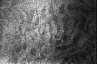 a black and white photo of a black and white image