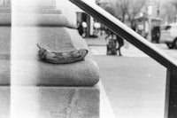 a banana sitting on a ledge